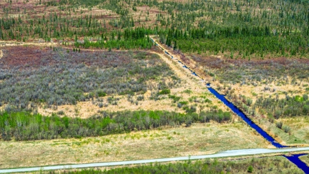Hunting and Recreational Land for Sale near Baudette, MN - image 19