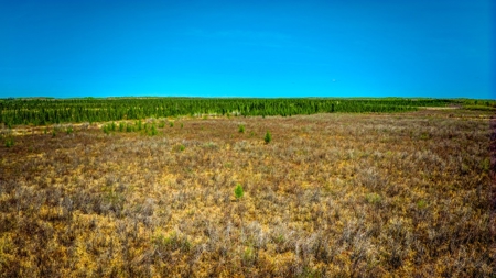 Hunting and Recreational Land for Sale near Baudette, MN - image 27