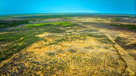Hunting and Recreational Land for Sale near Baudette, MN - image 11