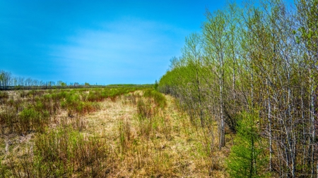 Hunting and Recreational Land for Sale near Baudette, MN - image 28