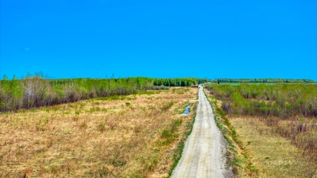 Hunting and Recreational Land for Sale near Baudette, MN - image 18