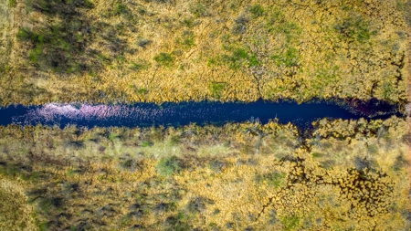 Hunting and Recreational Land for Sale near Baudette, MN - image 25