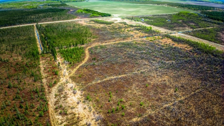 Hunting and Recreational Land for Sale near Baudette, MN - image 15