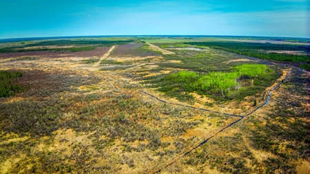 Hunting and Recreational Land for Sale near Baudette, MN - image 6