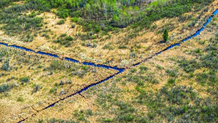 Hunting and Recreational Land for Sale near Baudette, MN - image 4