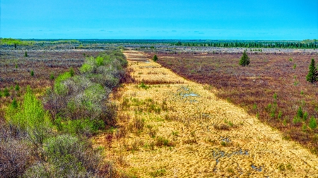 Hunting and Recreational Land for Sale near Baudette, MN - image 13