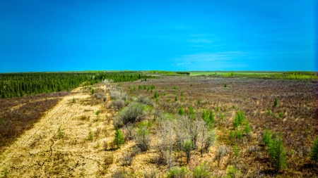 Hunting and Recreational Land for Sale near Baudette, MN - image 14