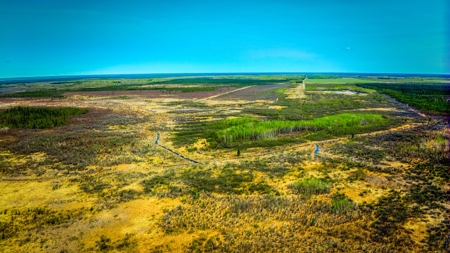 Hunting and Recreational Land for Sale near Baudette, MN - image 3