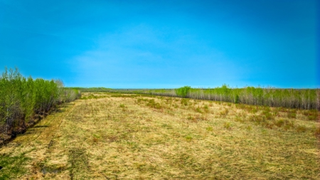 Hunting and Recreational Land for Sale near Baudette, MN - image 16