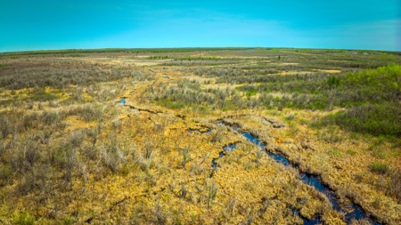 Hunting and Recreational Land for Sale near Baudette, MN - image 7