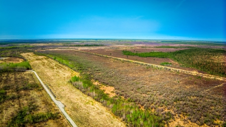 Hunting and Recreational Land for Sale near Baudette, MN - image 21