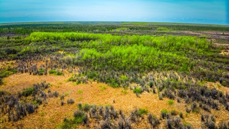 Hunting and Recreational Land for Sale near Baudette, MN - image 8