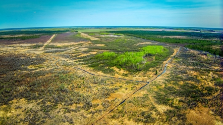 Hunting and Recreational Land for Sale near Baudette, MN - image 5