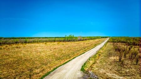 Hunting and Recreational Land for Sale near Baudette, MN - image 17