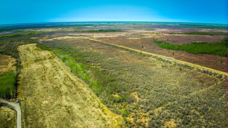 Hunting and Recreational Land for Sale near Baudette, MN - image 12