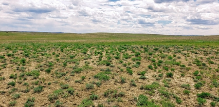 Land For Sale in Casper WY - image 5