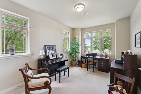 Condo with Breathtaking Views of the Wisconsin River - image 14