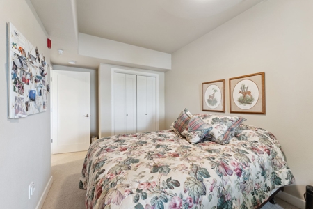 Condo with Breathtaking Views of the Wisconsin River - image 39