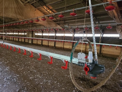 MS Poultry Broiler Farm 100 Acres w/ 2 Residence & Tractor - image 20