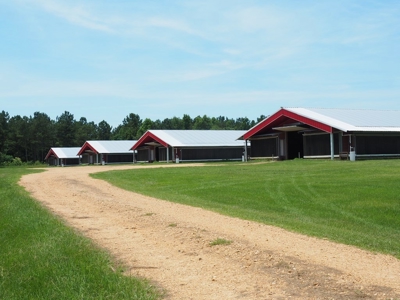 MS Poultry Broiler Farm 100 Acres w/ 2 Residence & Tractor - image 6