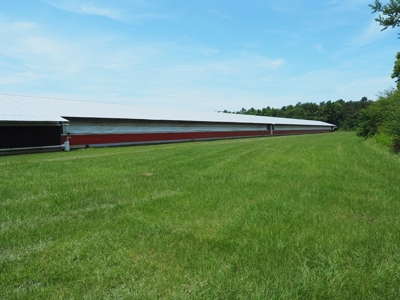 MS Poultry Broiler Farm 100 Acres w/ 2 Residence & Tractor - image 14