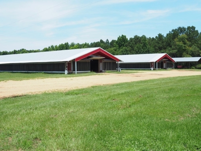 MS Poultry Broiler Farm 100 Acres w/ 2 Residence & Tractor - image 15