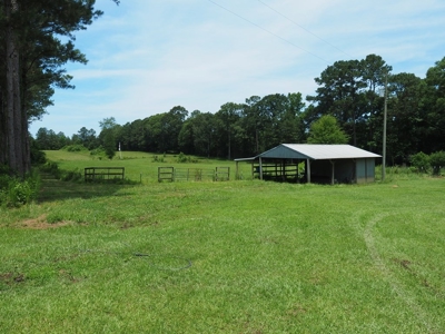 MS Poultry Broiler Farm 100 Acres w/ 2 Residence & Tractor - image 45