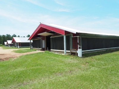MS Poultry Broiler Farm 100 Acres w/ 2 Residence & Tractor - image 2