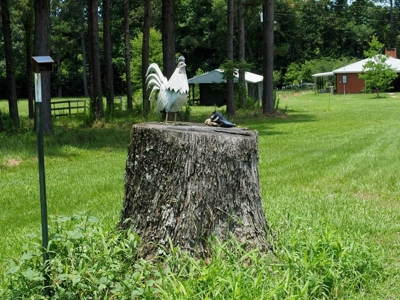 MS Poultry Broiler Farm 100 Acres w/ 2 Residence & Tractor - image 38