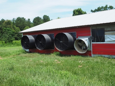 MS Poultry Broiler Farm 100 Acres w/ 2 Residence & Tractor - image 12