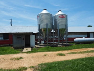 MS Poultry Broiler Farm 100 Acres w/ 2 Residence & Tractor - image 11