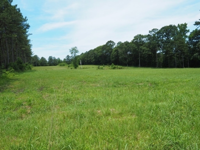 MS Poultry Broiler Farm 100 Acres w/ 2 Residence & Tractor - image 43
