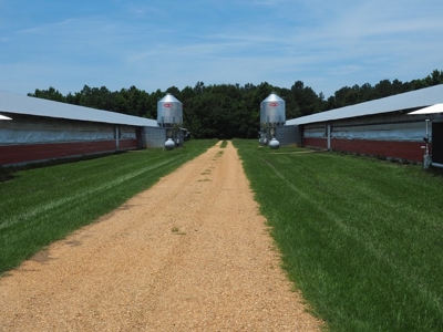 MS Poultry Broiler Farm 100 Acres w/ 2 Residence & Tractor - image 18