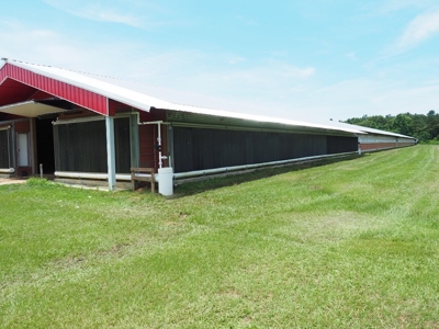MS Poultry Broiler Farm 100 Acres w/ 2 Residence & Tractor - image 8