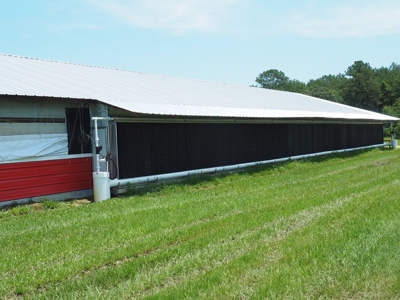 MS Poultry Broiler Farm 100 Acres w/ 2 Residence & Tractor - image 7