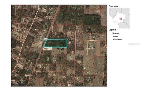 Beautiful Upland Timber Tract with Merchantable Pine Timber - image 4