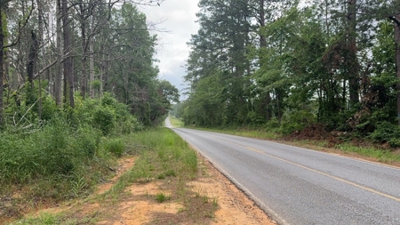 42 Acres Hunting Timberland for Sale Amite County, MS - image 5