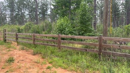 42 Acres Hunting Timberland for Sale Amite County, MS - image 3