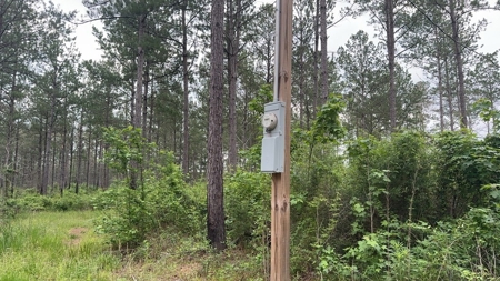 42 Acres Hunting Timberland for Sale Amite County, MS - image 6
