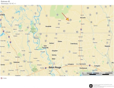 42 Acres Hunting Timberland for Sale Amite County, MS - image 11