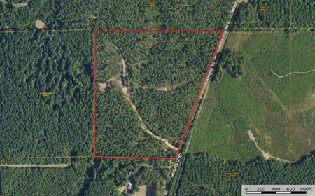 42 Acres Hunting Timberland for Sale Amite County, MS - image 12