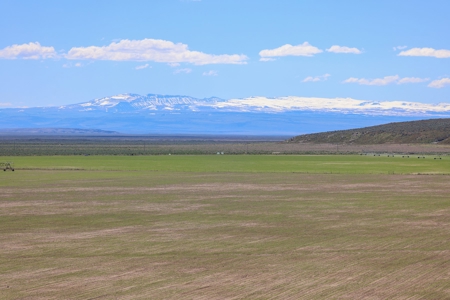 Eastern Oregon Narrows Pivots - image 11