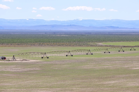 Eastern Oregon Narrows Pivots - image 13