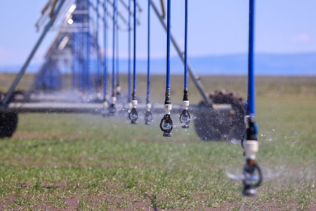 Eastern Oregon Narrows Pivots - image 17