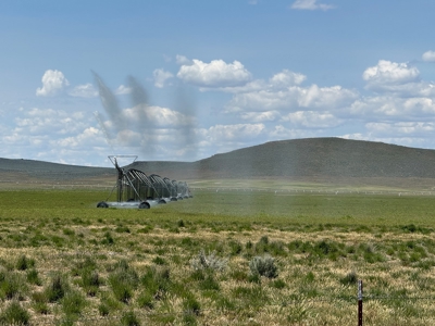 Eastern Oregon Narrows Pivots - image 35
