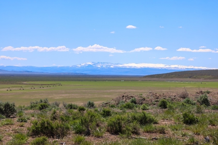 Eastern Oregon Narrows Pivots - image 7