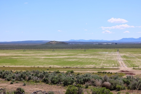 Eastern Oregon Narrows Pivots - image 14