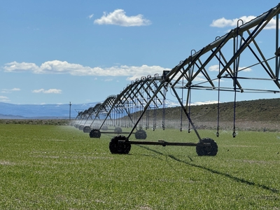 Eastern Oregon Narrows Pivots - image 33