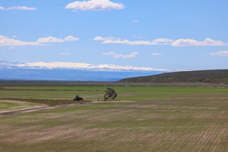 Eastern Oregon Narrows Pivots - image 15