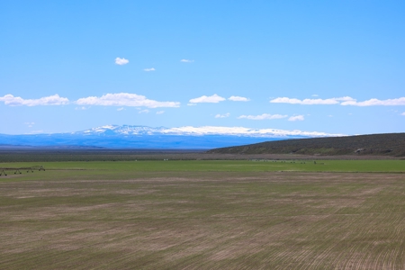 Eastern Oregon Narrows Pivots - image 10